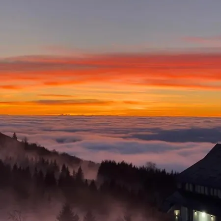 Ana - Kopaonik, Treska