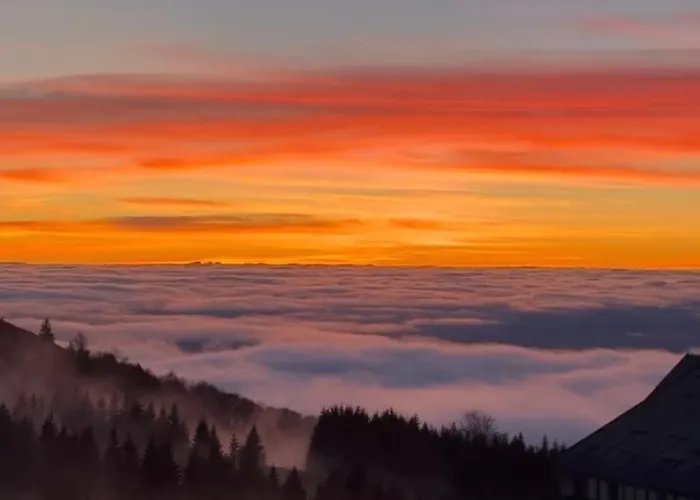 Ana - Kopaonik, Treska